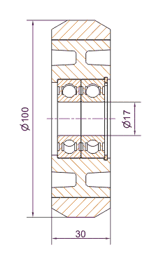 tl_files/produkte/Rollenfuehrung/rollen/rue/100GT_2D.gif