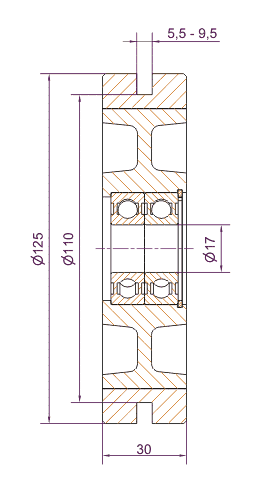 tl_files/produkte/Rollenfuehrung/rollen/rue/125GS_2D.gif
