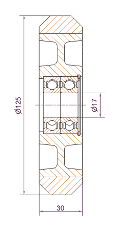 tl_files/produkte/Rollenfuehrung/rollen/rue/125GT_2D.gif