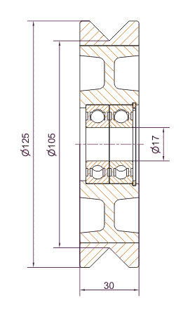 tl_files/produkte/Rollenfuehrung/rollen/rue/125GWA_2D.gif